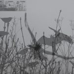 Interactive Installation – Part 2 – Image Cycle