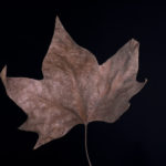 Wind on skin Wind on skin