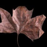 How far have we come?