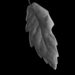 All that effort is not wasted